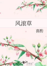 风滚草大王的建国日记小说