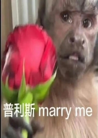 昨晚吃了难消化的食物 第二天早上嘴巴很臭
