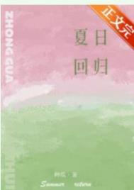 夏日回忆游戏攻略