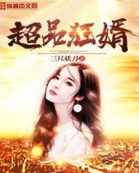 绝品狂婿 小说
